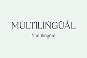 Qestrafin Modern Serif Font, a Serif Font by Letterena Studios (Thumbnail 12 of 15)