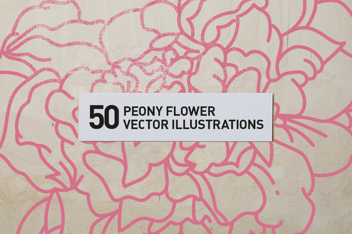 50 Peony Flower Vector Illustrations, an Illustration by Inkwell Supply Co (Photo 20 of 20)