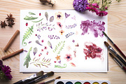Watercolor Flowers Pack, an Illustration by 2dsight (Thumbnail 5 of 5)