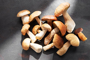Fresh porcini mushrooms on dark surface ready for cooking, a Food & Drink Photo by Olena Rudo