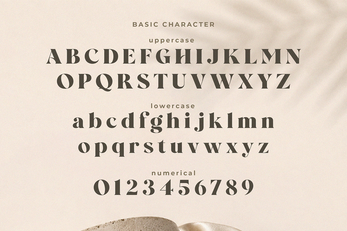 Wolffin - Bold Serif Font, a Serif Font by NTC Graphic (Photo 10 of 13)