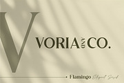 Flamingo, a Serif Font by Kleffont Studio (Thumbnail 8 of 11)