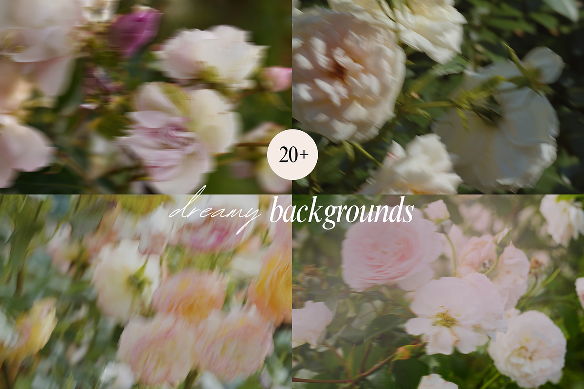 Delicate Blurry Floral Backgrounds, a Background Graphic by eclosque (Photo 5 of 31)