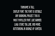 Thinsome - Thin & Tall Font, a Sans Serif Font by Iqsiart Studio (Thumbnail 2 of 6)