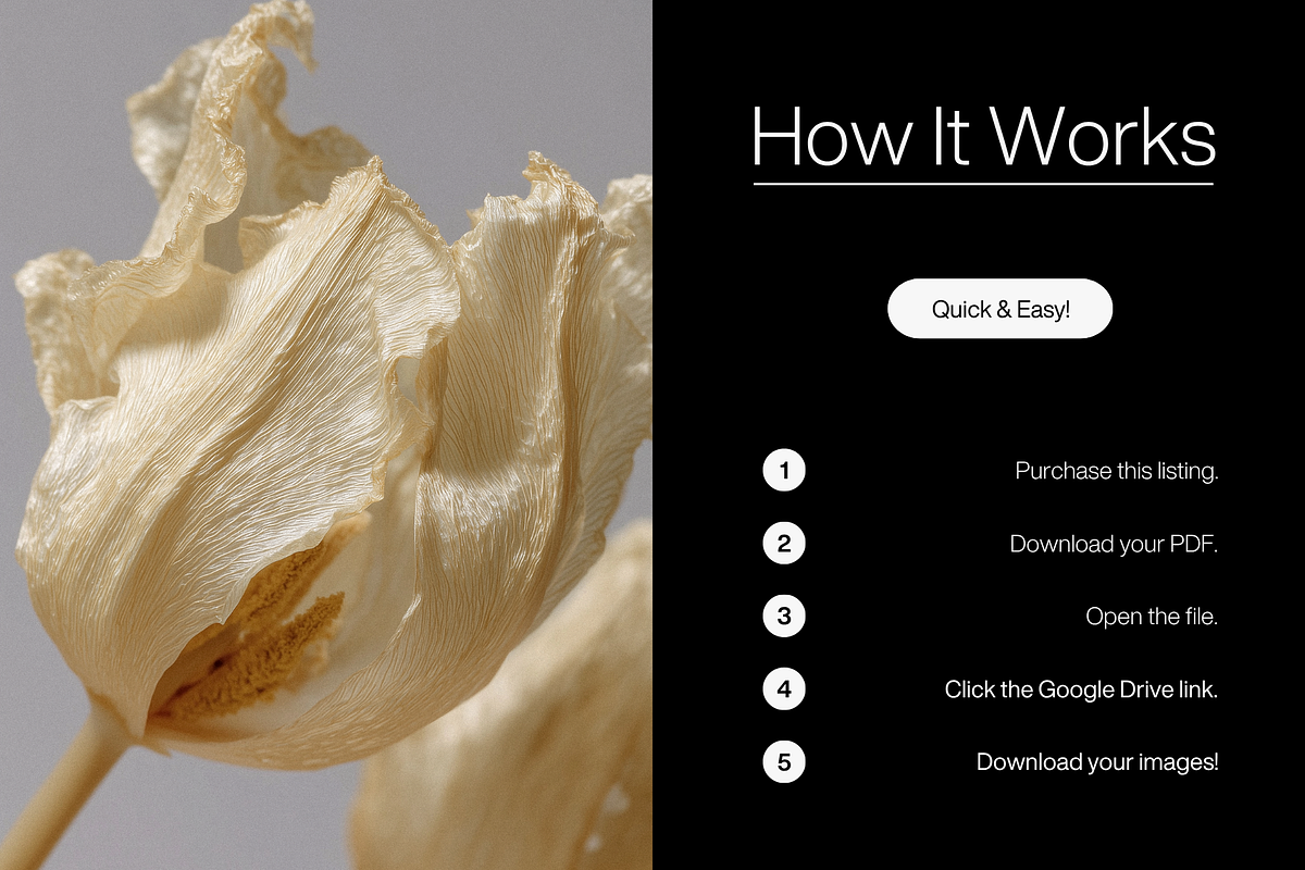 80 Floral Aesthetic Stock Images, a Background Photo by Digital Asset Co (Photo 9 of 9)