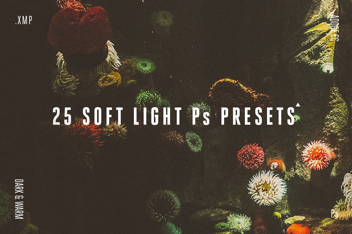 25 Soft Light Presets Ps preview 6