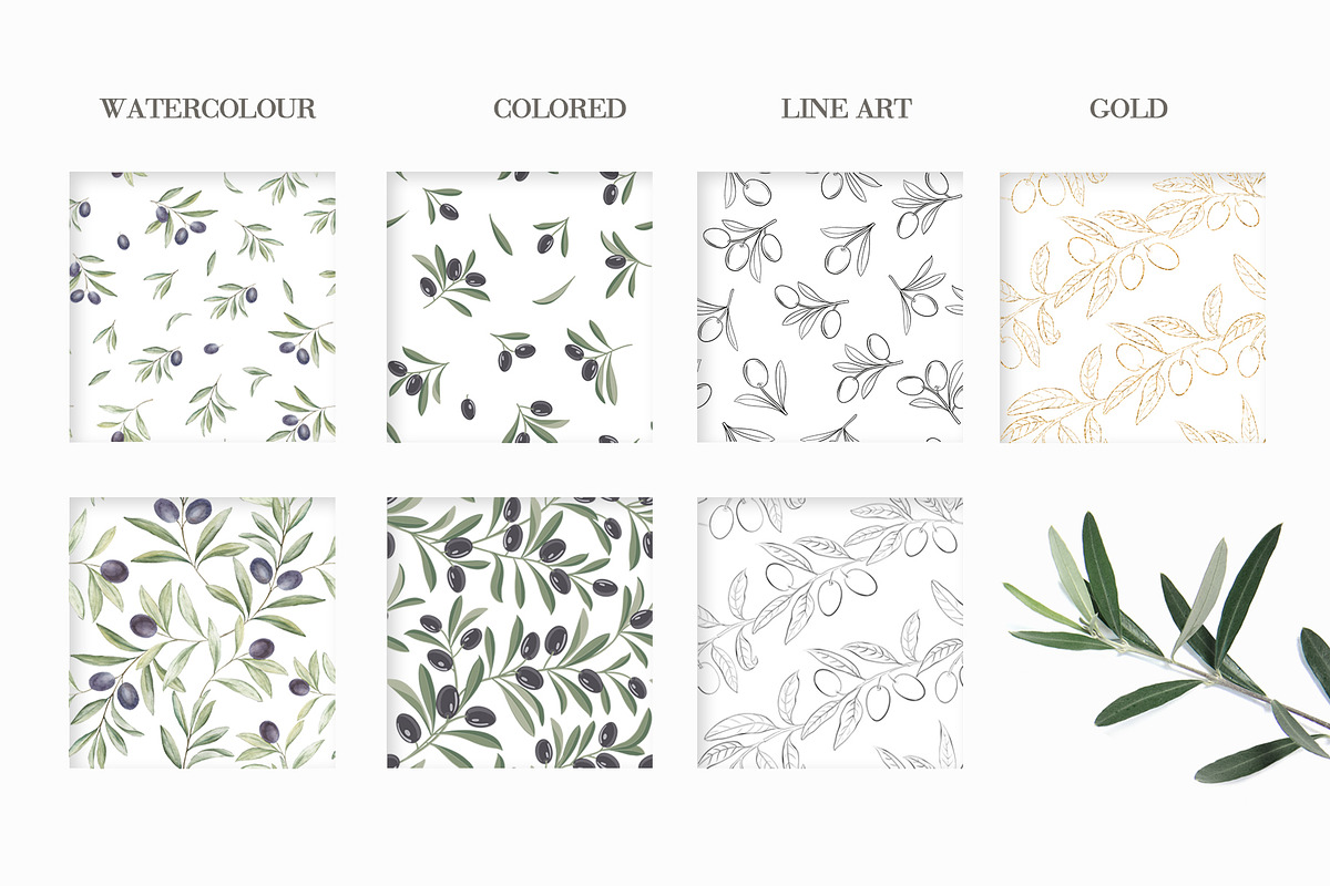Olive branch, frame, pattern., a Texture Illustration by Kotkoa (Photo 4 of 6)
