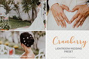 Desktop Lightroom Presets CRANBERRY, a Plug-in Add-On by Victoria Bee Presets (Thumbnail 5 of 29)