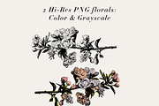 Floral Wedding Collection, an Invitation Template by Studio.lize (Thumbnail 3 of 4)