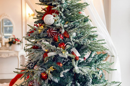 Snowcovered christmas tree standing stock photo containing christmas and tree, a Holiday Photo by SaulichPhoto