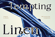 Fyorin Elegance Serif Font, a Serif Font by Rasio Studio (Thumbnail 6 of 11)