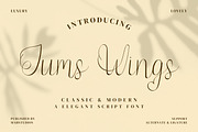 Jump Wings Script Fonts, a Script Font by mahstudios (Thumbnail 1 of 15)