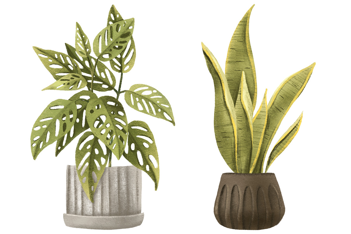 Cozy House Plants Clipart, a Decorative Illustration by the_myro (Photo 5 of 10)