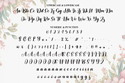 Angistha | Script Font, a Handwritten Font by Scratchones (Thumbnail 7 of 9)