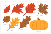 36 Autumn Elements + 12 Patterns, a Graphic by monkik (Thumbnail 5 of 12)