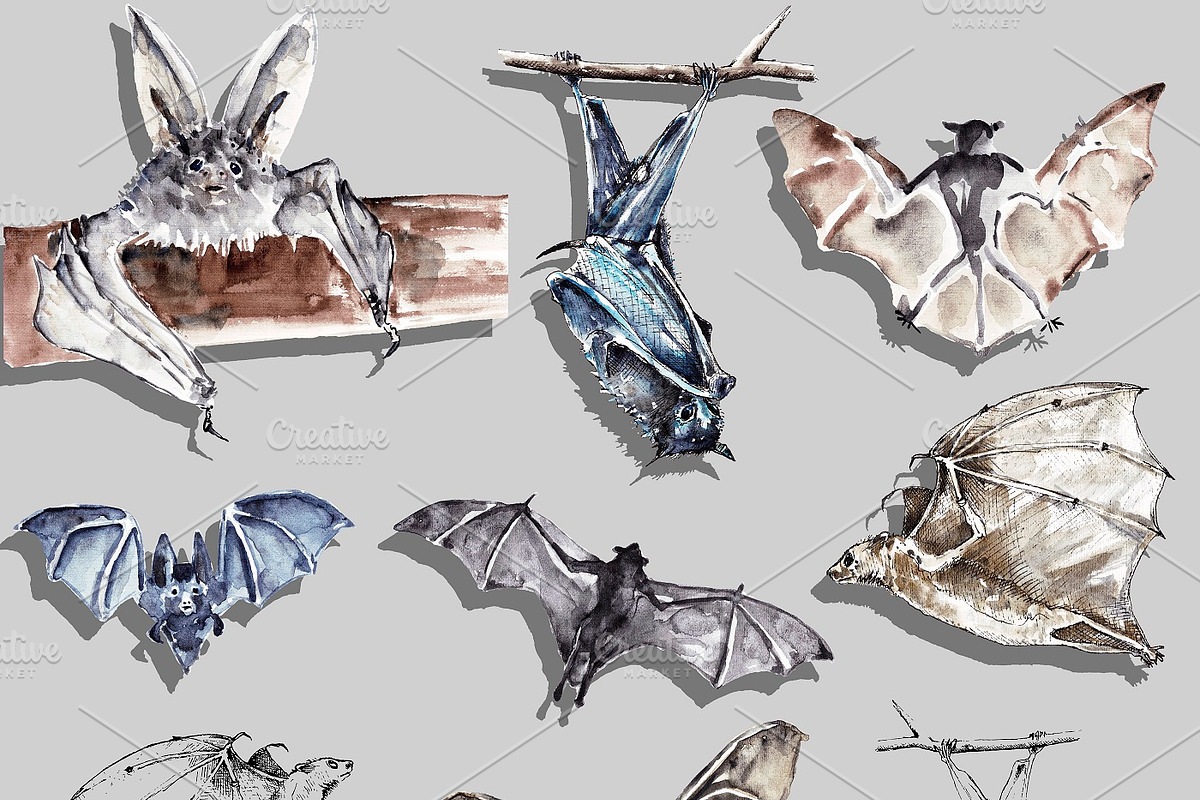 Vampire bats, watercolor/ink/vector, an Animal Illustration by Watercolor_Vector Graphic (Photo 2 of 22)