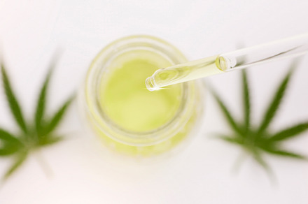 Cannabis, marijuana and cbd oil and dropper with medicine zoom, hemp and wellness with alternative and holistic medicine. Legal drugs, 420 with cbd and leaf with weed plant liquid product for health., a Photo by Peopleimages.com