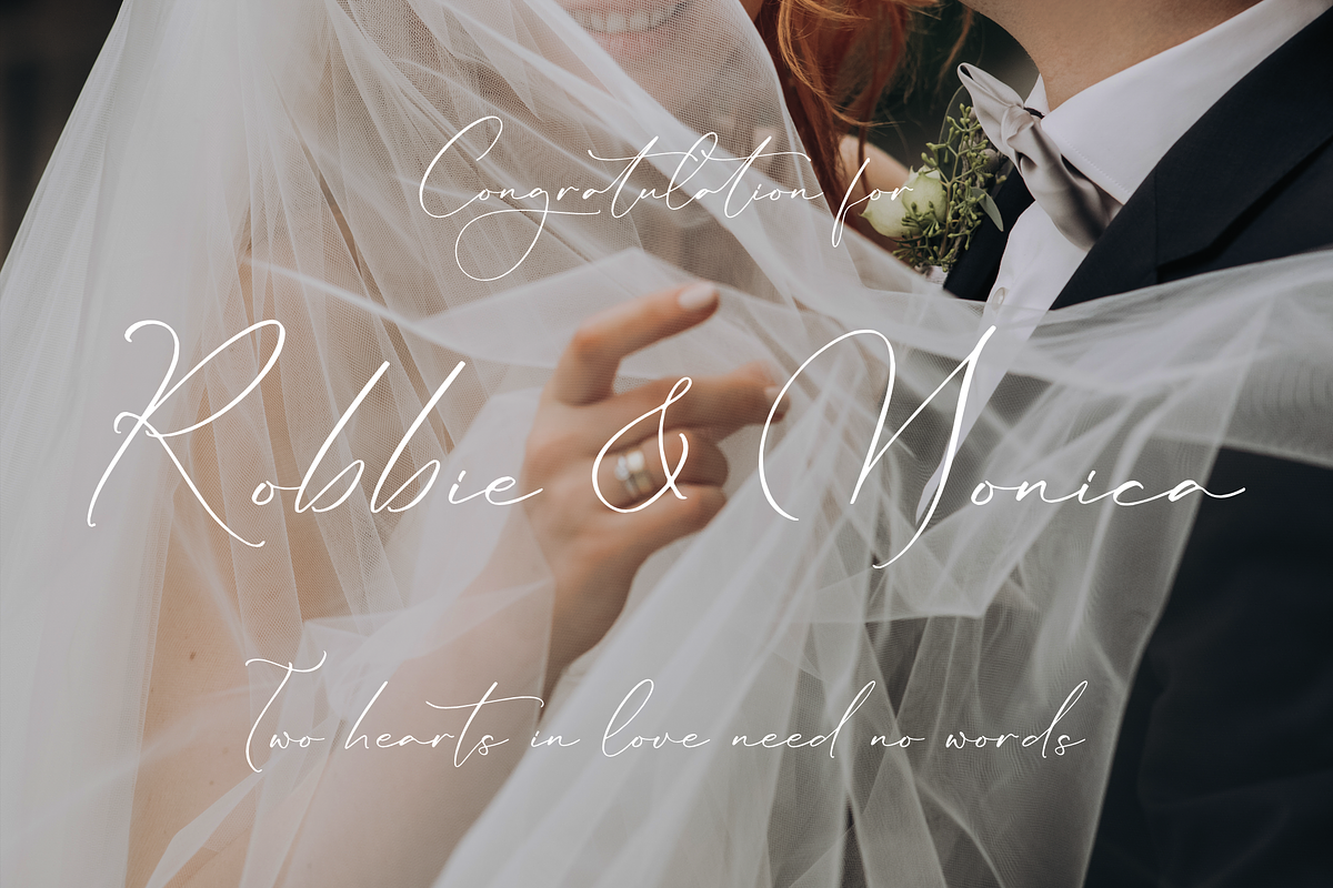 Lillywhite A Beautiful Script Font, a Script Font by Storytype Studio (Photo 8 of 15)