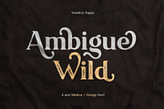 Ambigue Wild Modern x Vintage Serif, a Serif Font by Wandery Supply (Thumbnail 2 of 22)