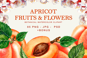 Apricot Fruits & Flowers, watercolor