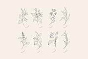 Cosmetic herbs, a Decorative Illustration by Merfin (Thumbnail 5 of 6)