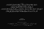 Romantic Romance - Calligraphy Font, a Script Font by VP Fonts (Thumbnail 17 of 21)