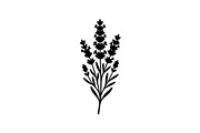 Lavender Flower Silhouette Set, an Object Graphic by Designer_Momina (Thumbnail 3 of 3)