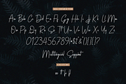 Sallyna Cattalya, a Script Font by Essentials Studio (Thumbnail 7 of 8)