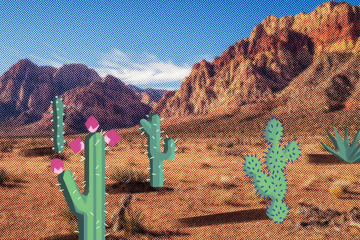 NEVADA. Scene & Posters Bundle, an Animal Illustration by Schumacher Shop (Photo 6 of 11)