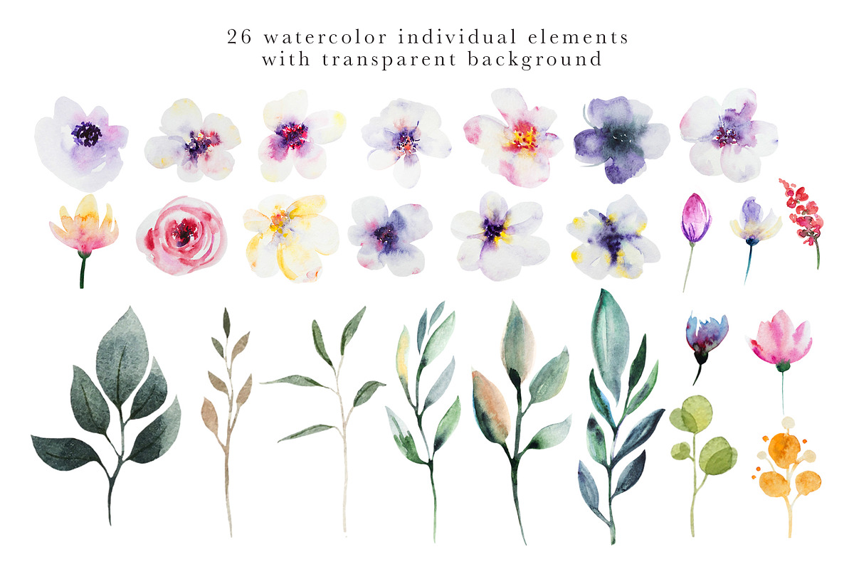 Watercolor floral collection, a Decorative Illustration by Vera●Suleimanova (Photo 16 of 18)