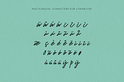 Mr. Skywhale Signature Script Font, a Handwritten Font by ashenterprise (Thumbnail 14 of 16)