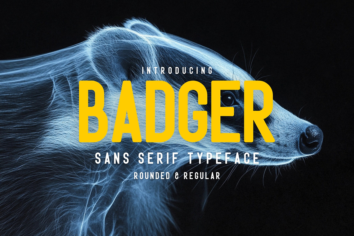 Badger - Sans Serif Typeface, a Sans Serif Font by HipFonts (Photo 1 of 8)