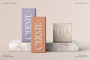 Fragilità - A Retro Ligature Serif, a Serif Font by SilverStag Type Foundry (Thumbnail 2 of 26)