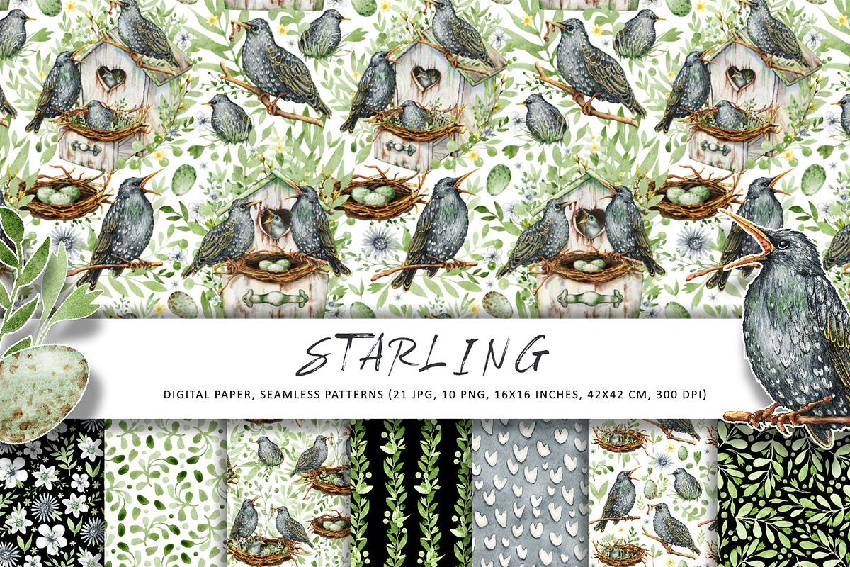 Starling family, spring bird, plants, an Animal Illustration by Artmanata (Photo 2 of 16)