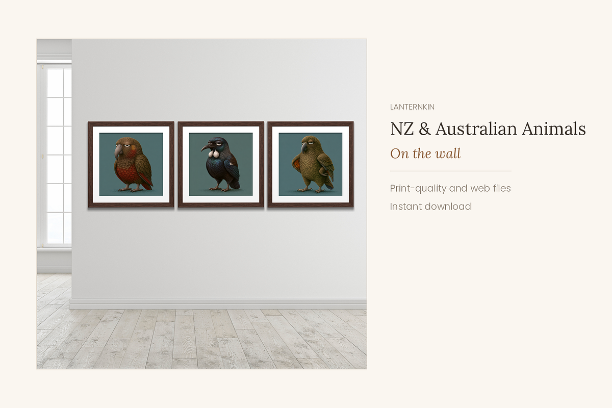 NZ & Australian Animals, Set 20, an Animal Illustration by LanternkinStudio (Photo 2 of 12)