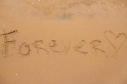 Beautiful inscription on the sand-forever, sun, sea, beach, an Abstract Photo by Artsaba Family