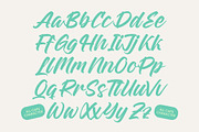 Rough Streak Bold Brush Font, a Script Font by Letterena Studios Script (Thumbnail 16 of 20)