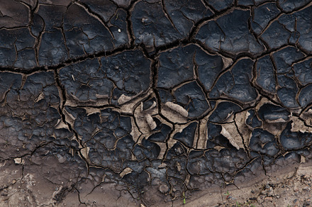 Texture of dry cracked earth, a Nature Photo by BUTKO Magazine