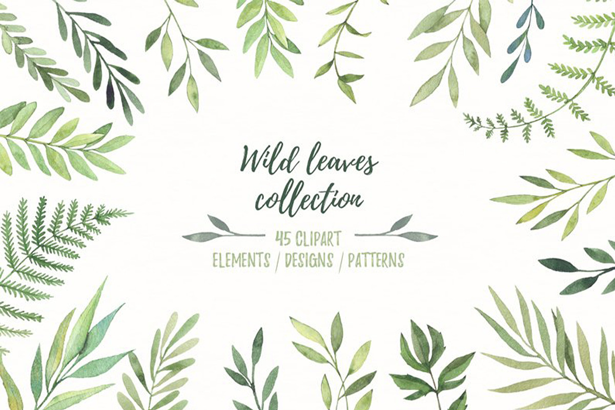 Sale - Greenery bundle. Watercolor, a Decorative Illustration by Kate Macate (Photo 7 of 7)
