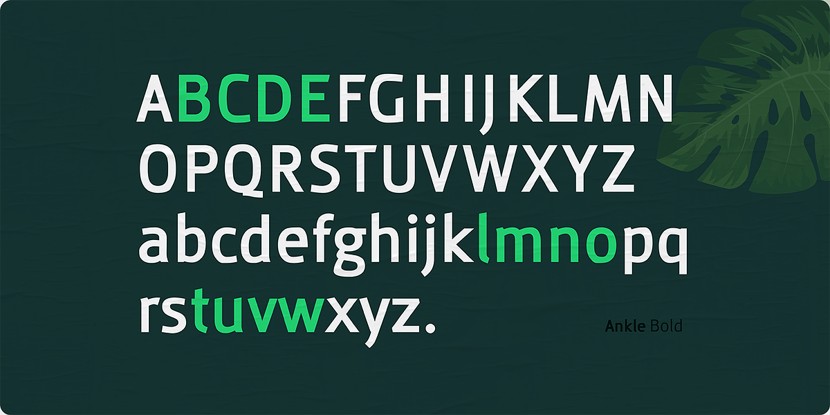 Ankle, a Sans Serif Font by Vikers (Photo 7 of 11)