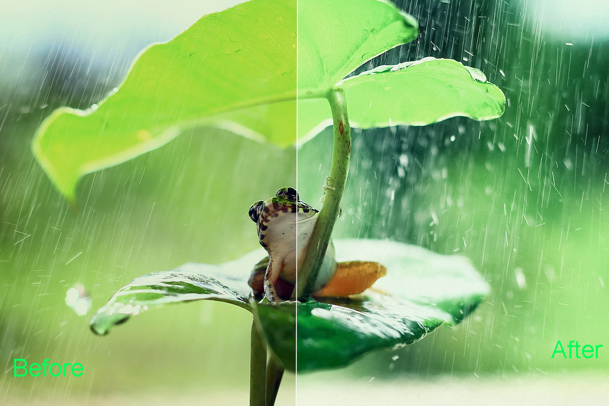 Nature Photoshop Actions 220 Bundle, an Action Add-On by ARTNEST (Photo 3 of 12)