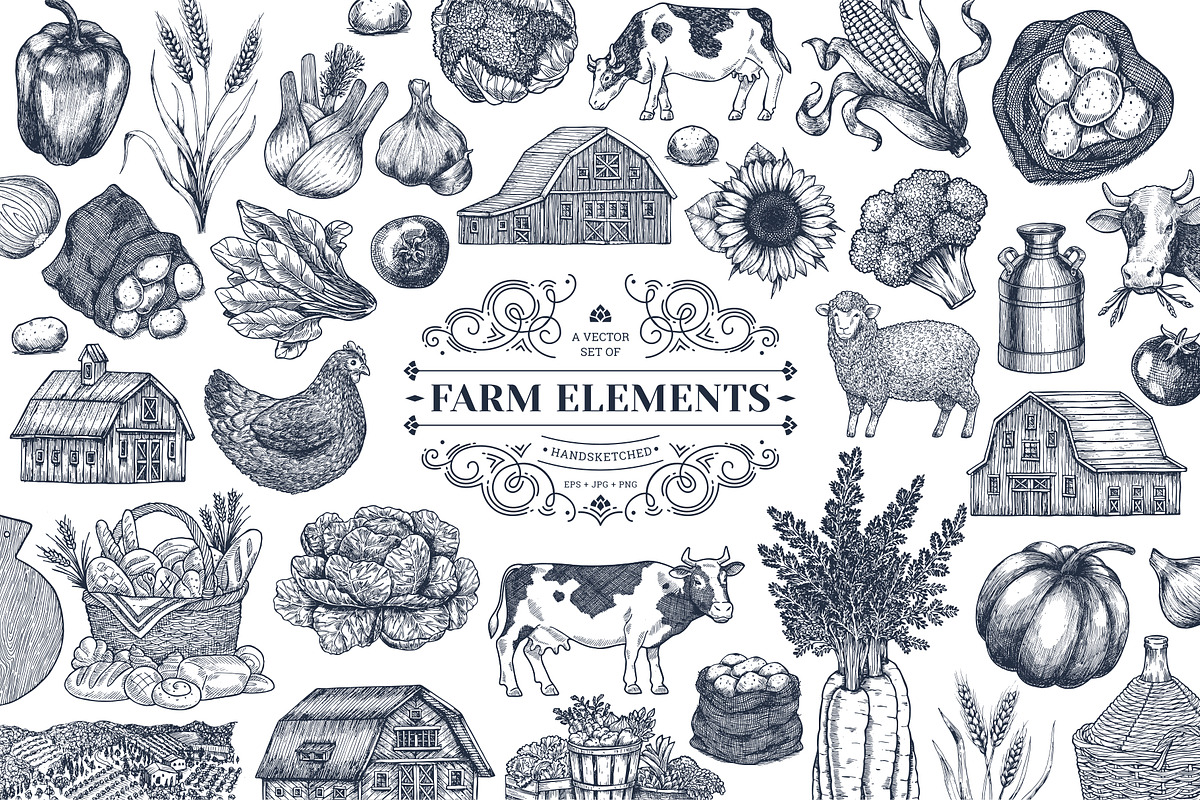 Life is better on the Farm, an Animal Illustration by adehoidar (Photo 1 of 9)