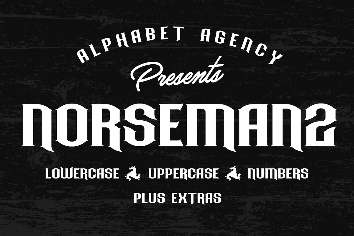 Norseman 2, a Serif Font by Alphabet Agency (Photo 1 of 5)