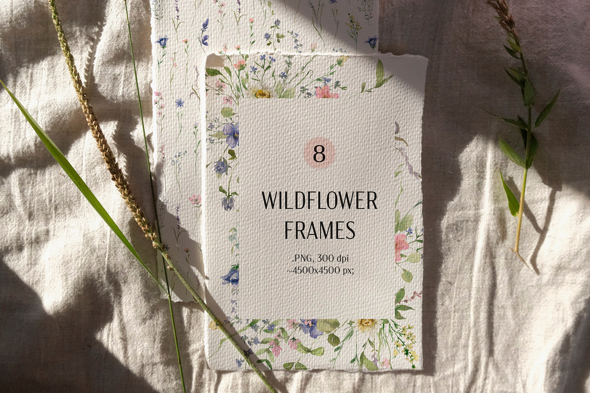 Summer Watercolor Wildflowers, a Decorative Illustration by Les Frolova (Photo 8 of 11)