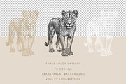 African Safari Animals & Trees Set, an Animal Illustration by NatalieArtShop (Thumbnail 5 of 7)
