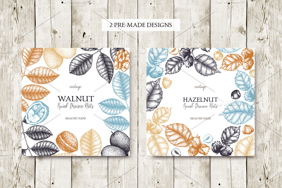 Hand-Drawn Nuts Sketches, a Food Illustration by Yevheniia (Photo 8 of 12)