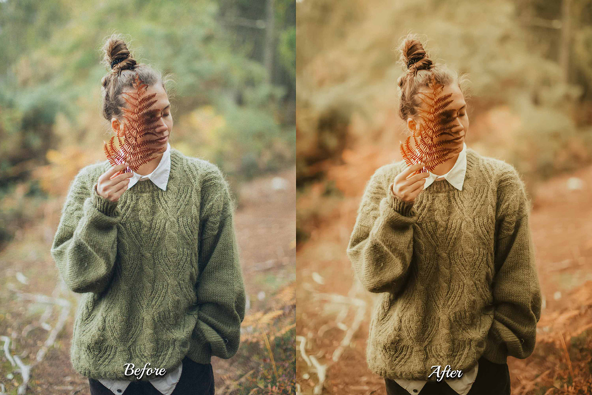30 Golden Fall Lightroom Collection, a Preset Add-On by 3Motional (Photo 9 of 11)