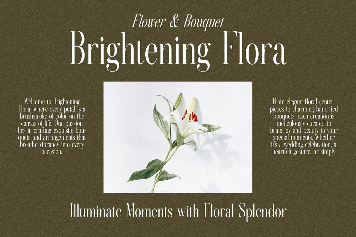 Sebastian Moreta Family Serif Font, a Serif Font by Graphicxell (Photo 6 of 8)