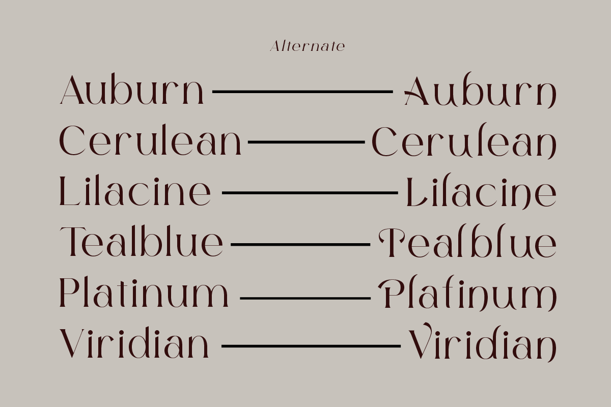 Grace Zyora - Luxury Modern Font, a Serif Font by roomspace creative lab (Photo 12 of 13)