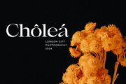 Astani Display, a Serif Font by InkwellTypeCo (Thumbnail 2 of 17)